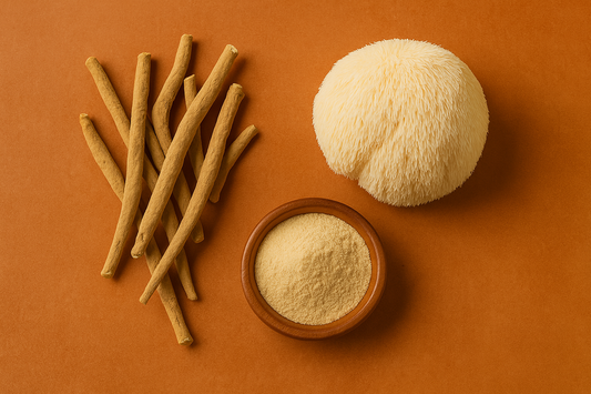 Ashwagandha roots, Lion’s Mane mushroom, and powdered extract arranged on a warm terracotta background.