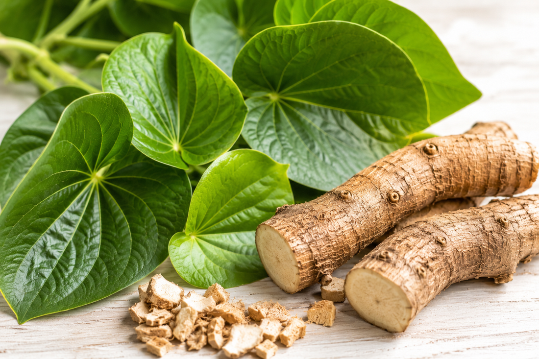 Close-up of fresh green kava leaves and natural kava root on a light wooden surface in bright natural lighting.